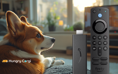 My Paws-On Review of the Amazon Fire TV Stick 4K