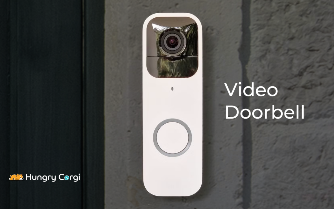 Blink Video Doorbell: A Corgi’s Guide to Keeping the Den Secure