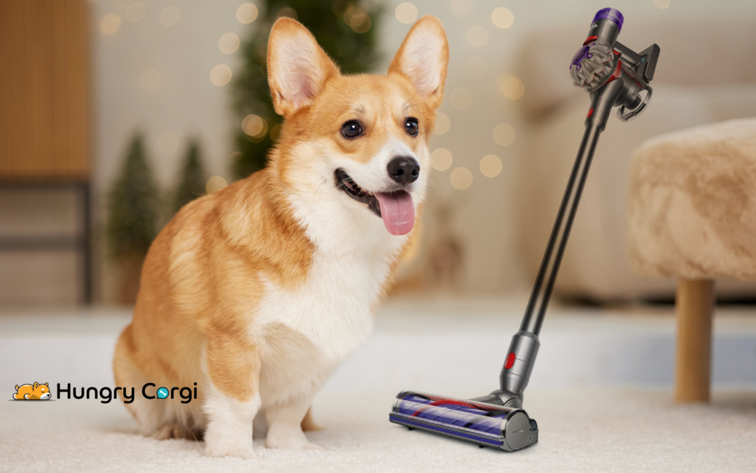 The Dyson V8 Cordless Vacuum Cleaner: A Game-Changer for a Neat-Freak Corgi