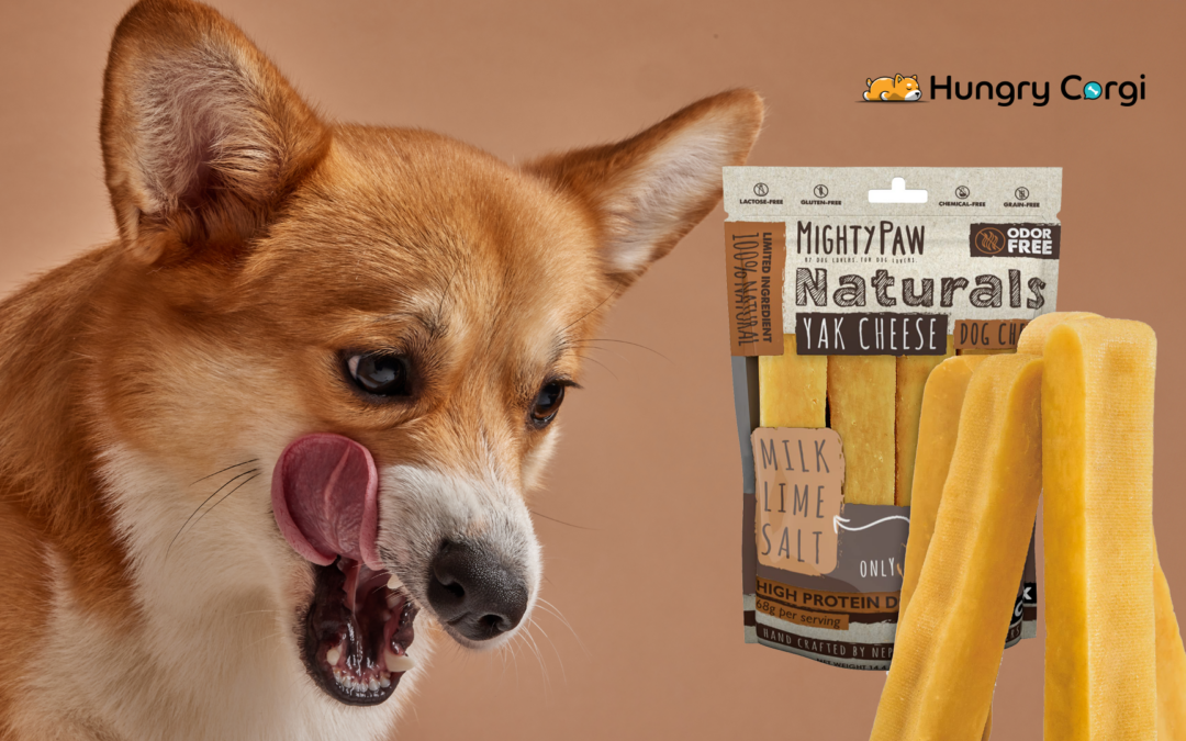 Mighty Paw Yak Cheese Dog Chews: A Corgi’s Ultimate Chew-Time Delight