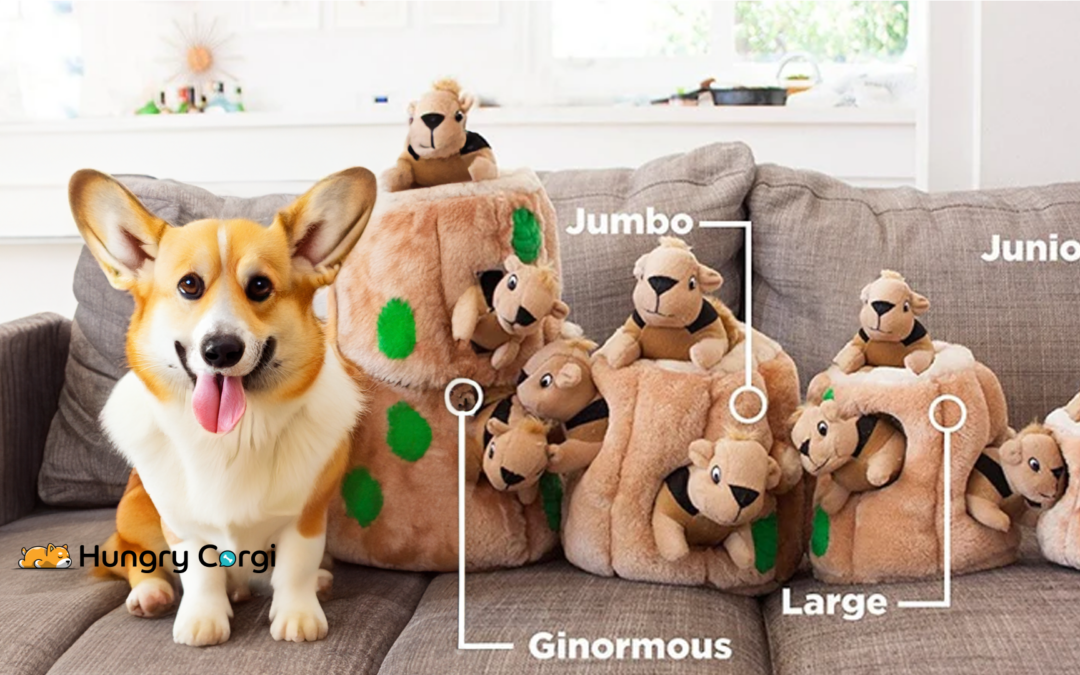 Outward Hound Hide A Squirrel Puzzle Dog Toy: A Corgi’s Squeaky Dream Come True