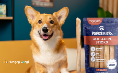 Pawstruck Natural Beef Collagen Sticks: A Corgi’s Dream Chew