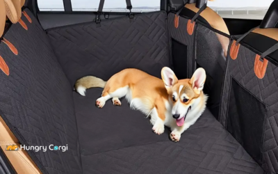 ROUWINNE Back Seat Extender: A Corgi’s Ride to Comfort and Safety