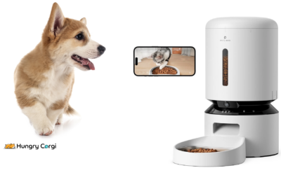 Feast On Time: Petlibro Granary Automatic Pet Feeder-WiFi Control 5L