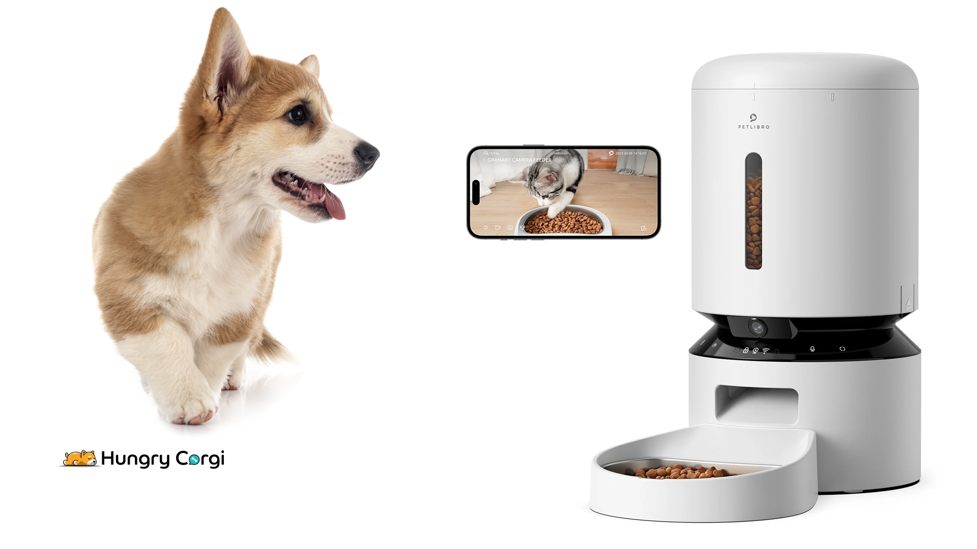 Petlibro granary automatic pet feeder Hungry Corgi Review